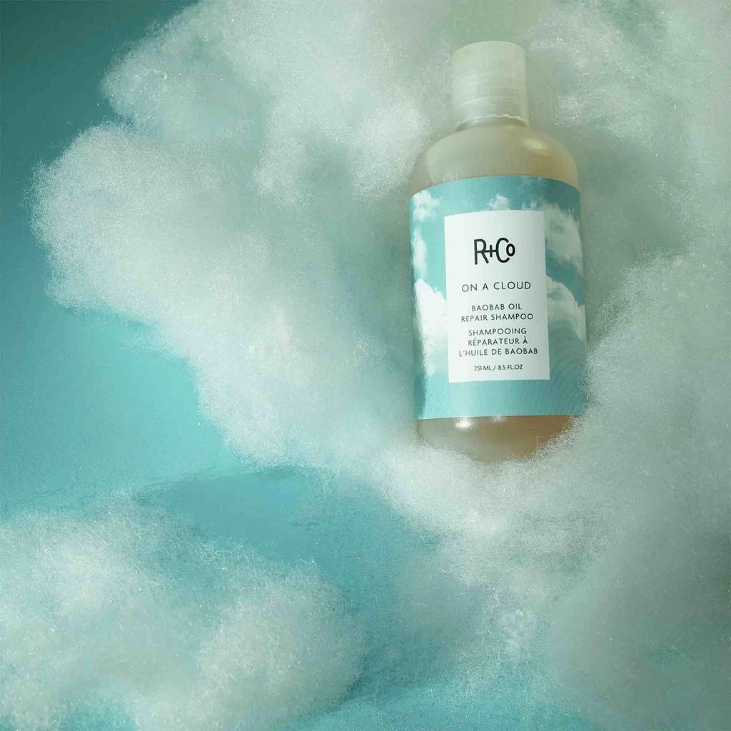 R+Co On A Cloud Baobab Oil Repair Shampoo 4