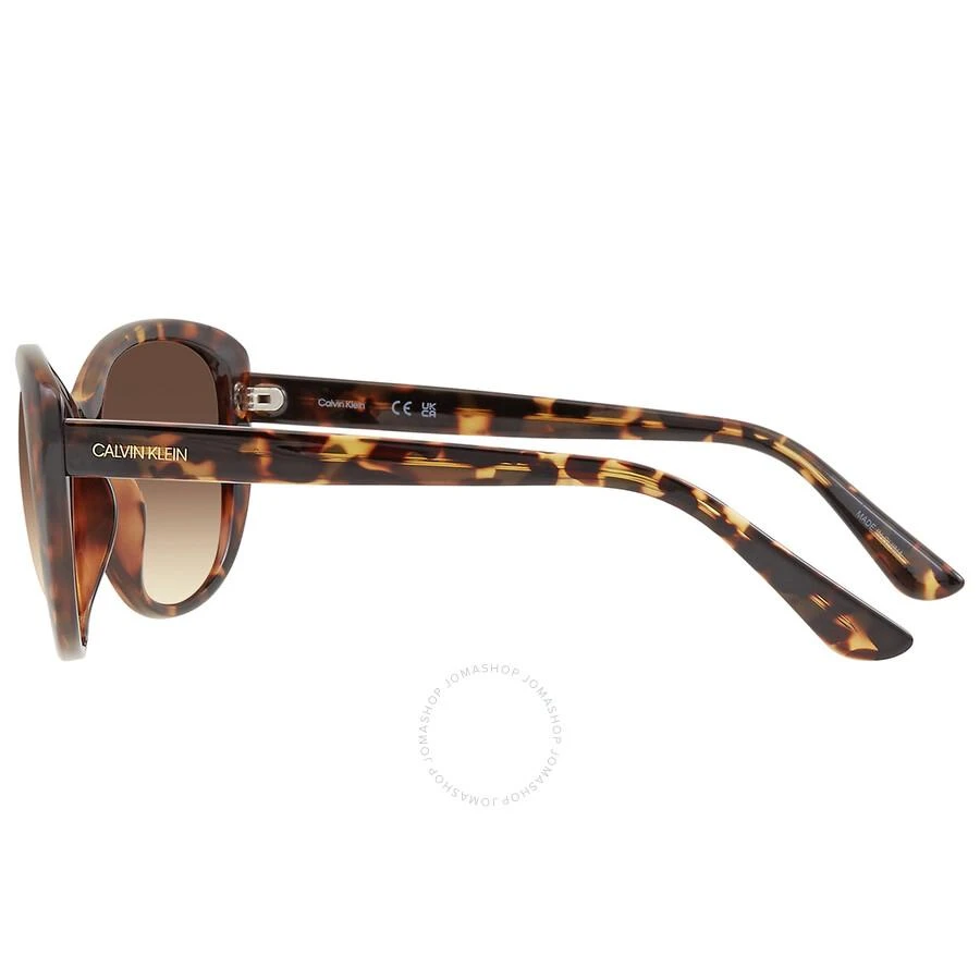 Calvin Klein Brown Gradient Cat Eye Ladies Sunglasses CK19560S 235 57 3