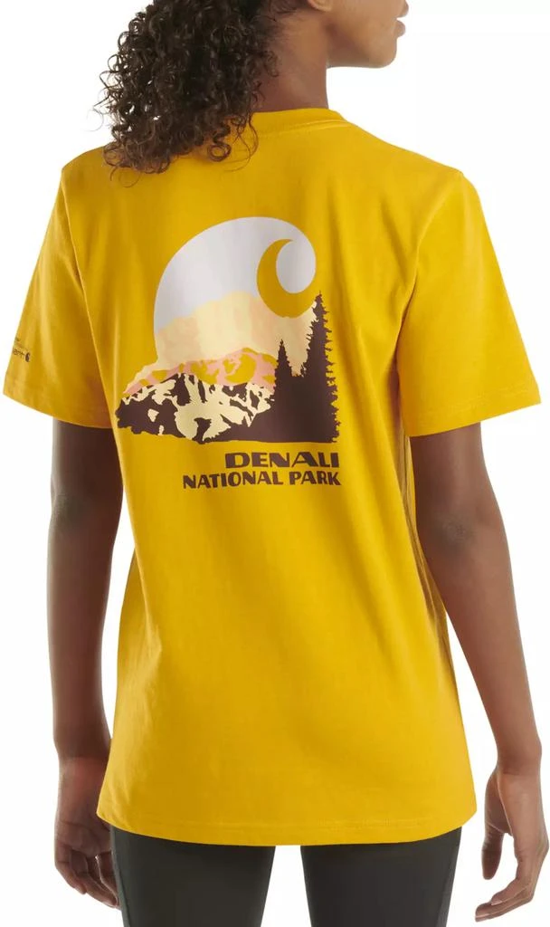 Carhartt Carhartt Boys' Denali National Park T-Shirt 1