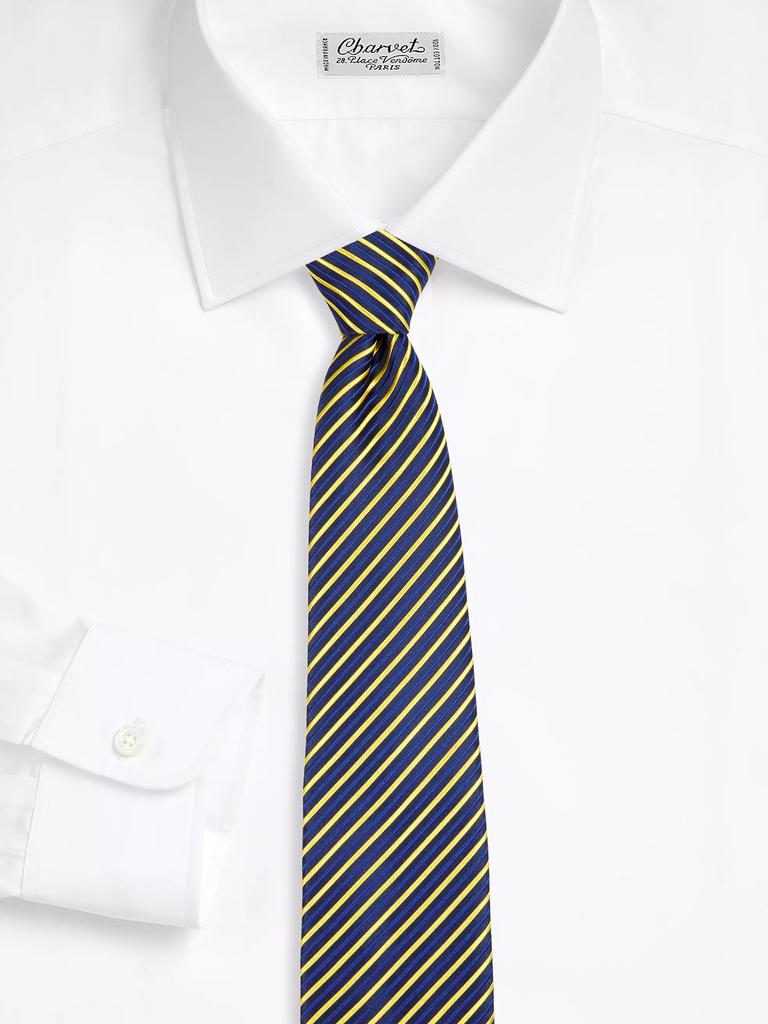 Charvet Striped Silk Tie