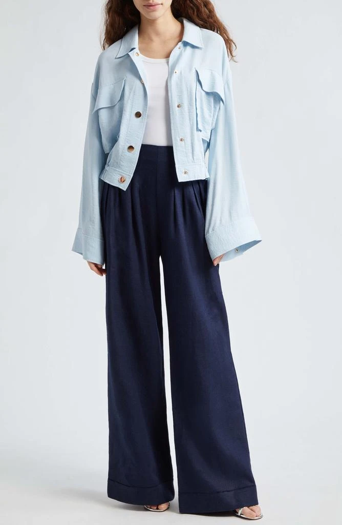 Ramy Brook Dalia Pleated Wide Leg Pants 2