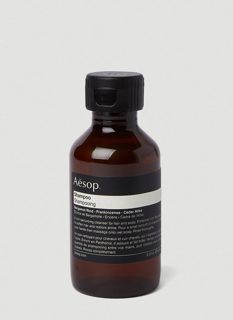 Aesop Shampoo 1