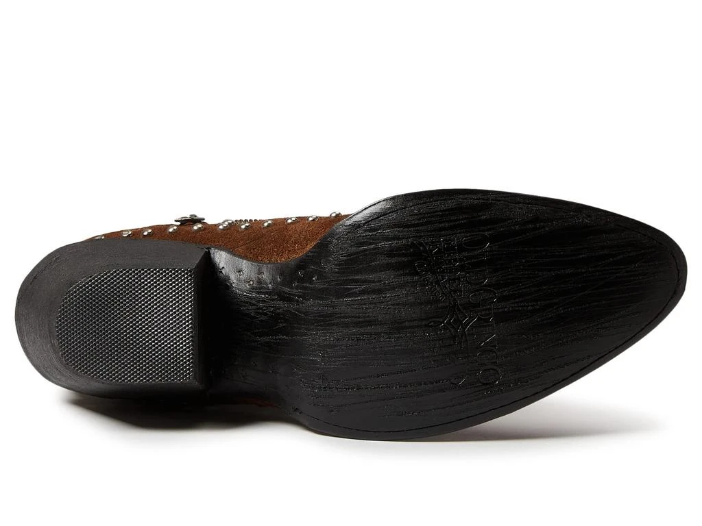 Old Gringo Cambria 3