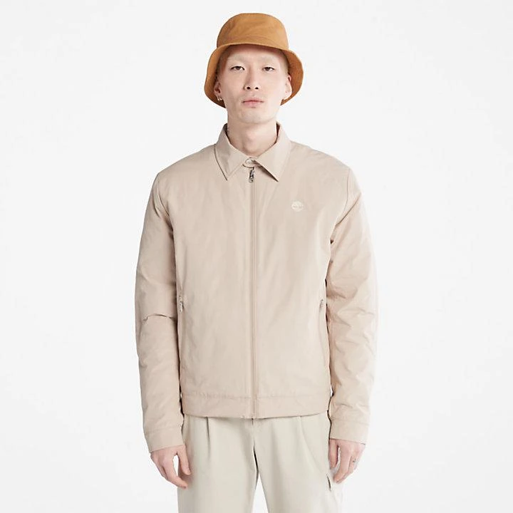 Timberland Men's Stratham Winter Bomber Jacket in Beige 1