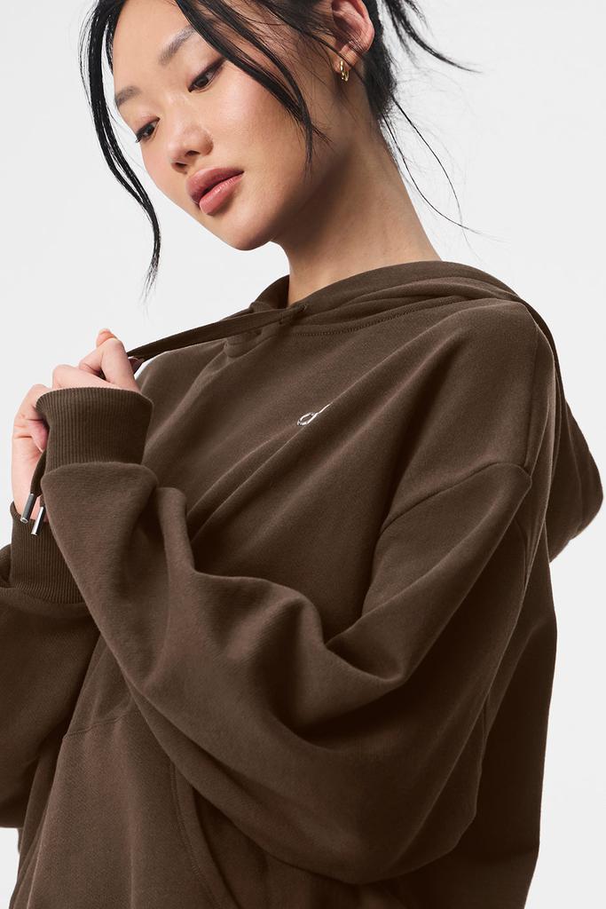 Alo Accolade Hoodie - Espresso - Hoodies - Free Shipping - BeyondStyle