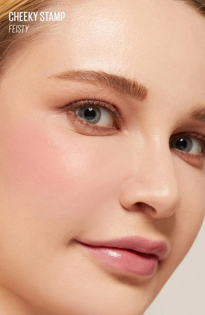 Kaja Cheeky Blush Stamp 3