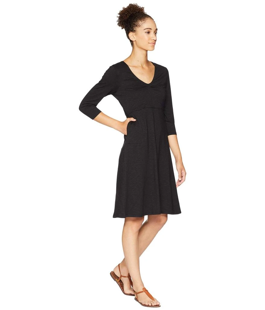 Toad & Co Rosalinda Dress 4
