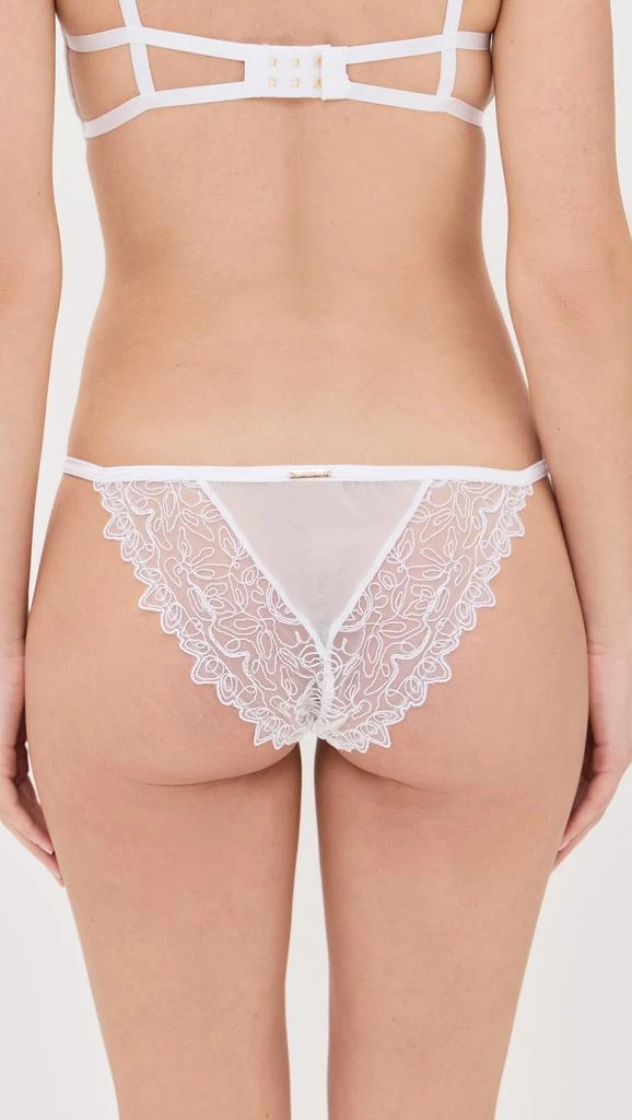 BLUEBELLA Audrey Briefs 2