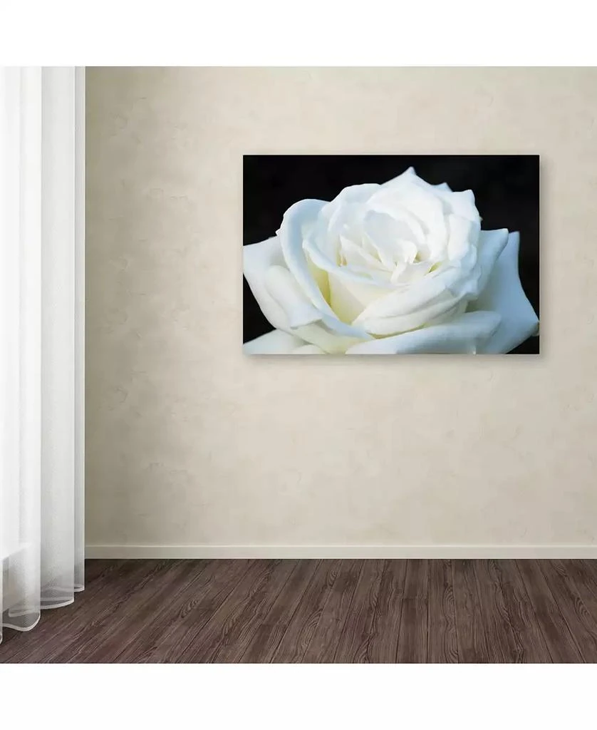 Trademark Global Kurt Shaffer 
White Rose II
 Canvas Art - 24" x 16" 3