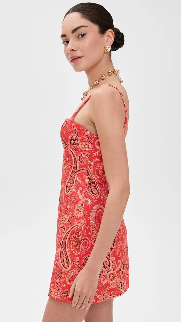 Cara Cara Claudine Mini Dress 3