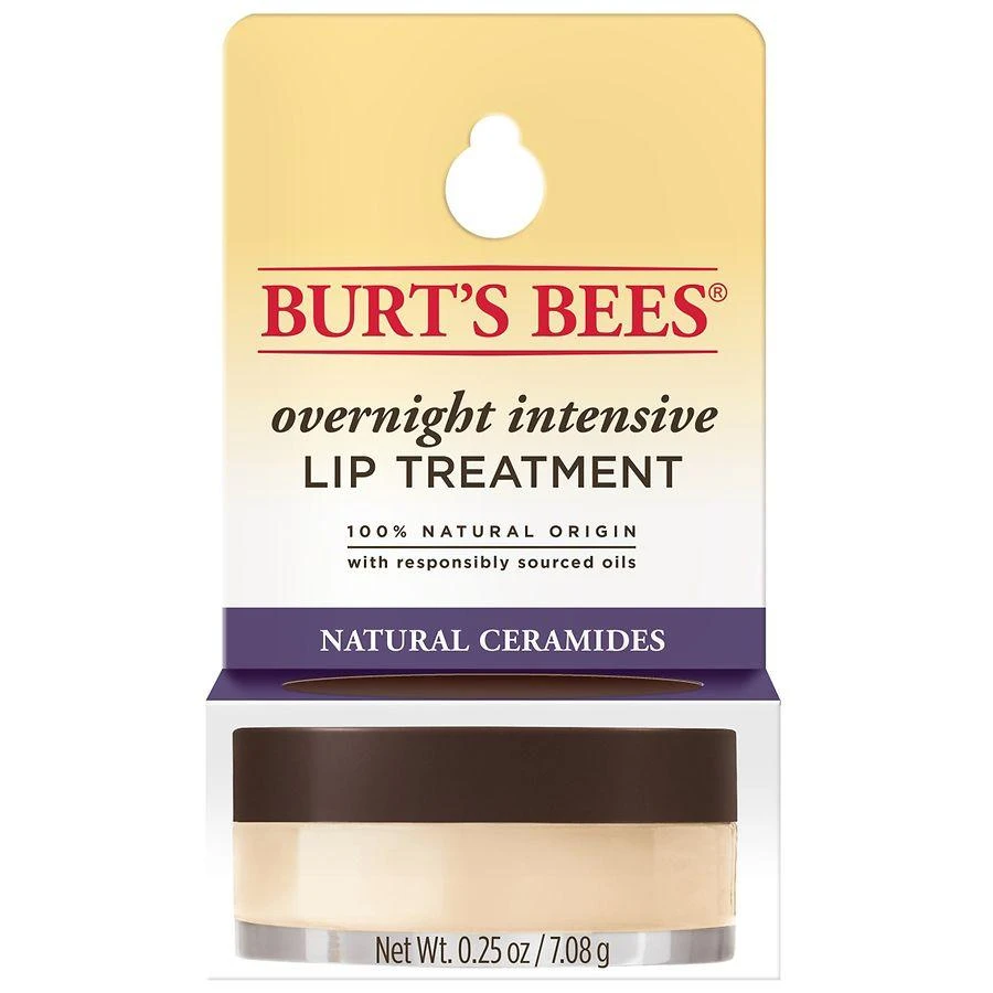 Burt's Bees Overnight Lip Treatment for Dry Lips 1