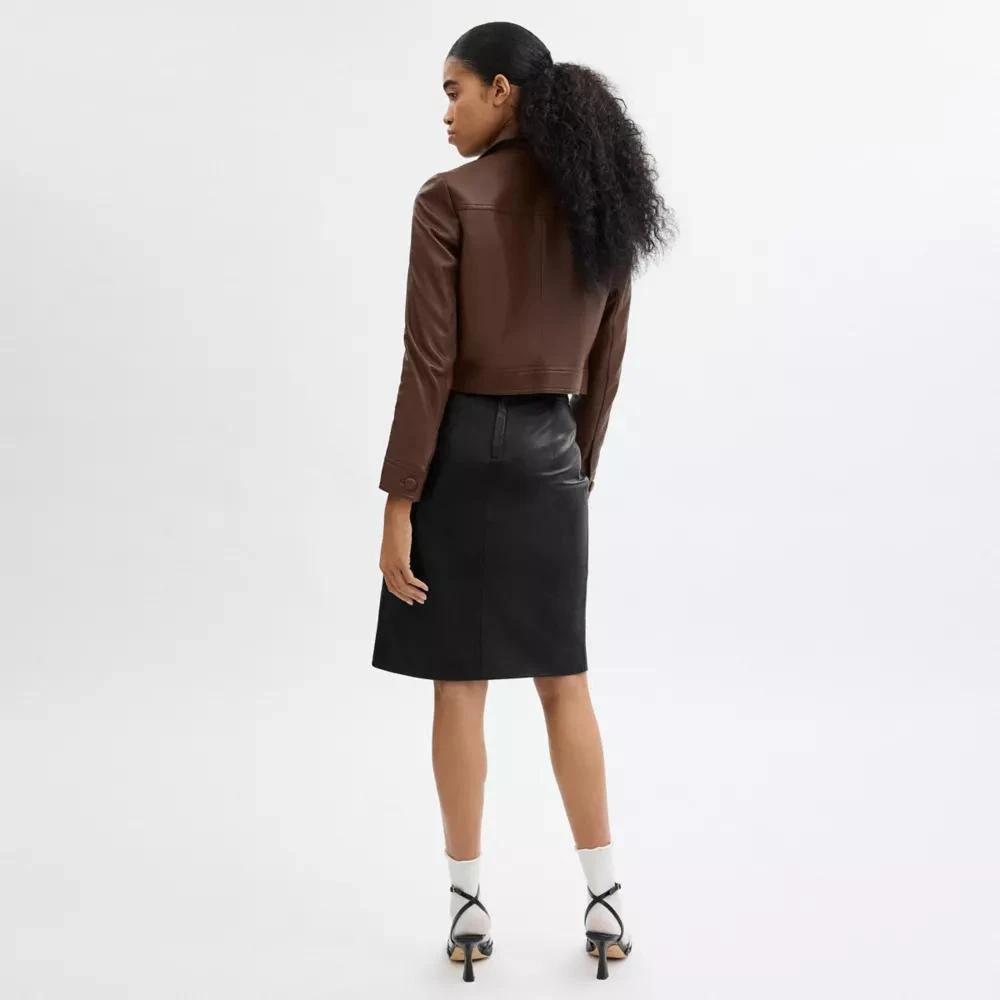 Coach Heritage C Leather Skirt 3