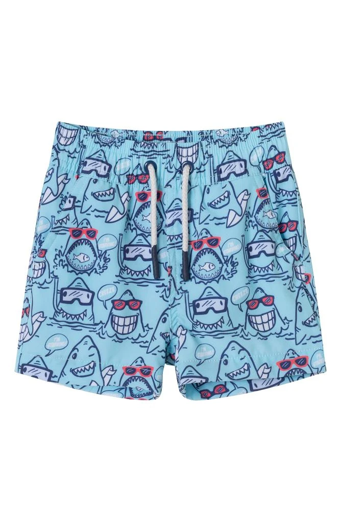 Andy & Evan Rashguard & Swim Shorts Set 6