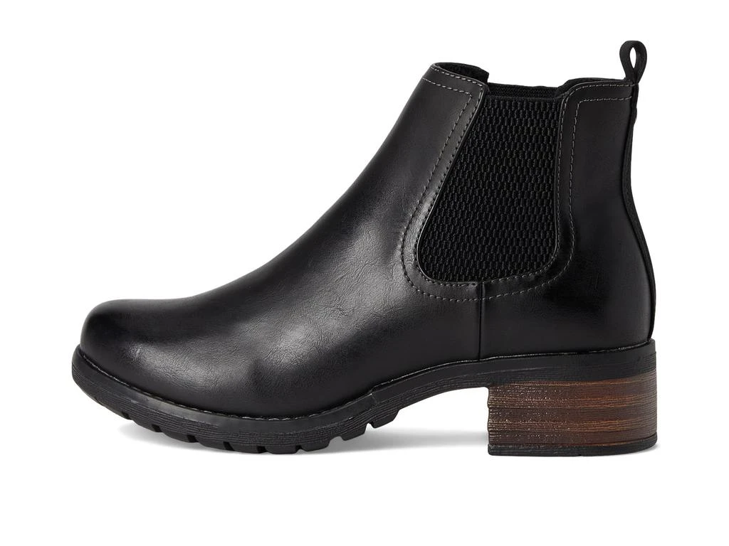 Eastland Jasmine 4