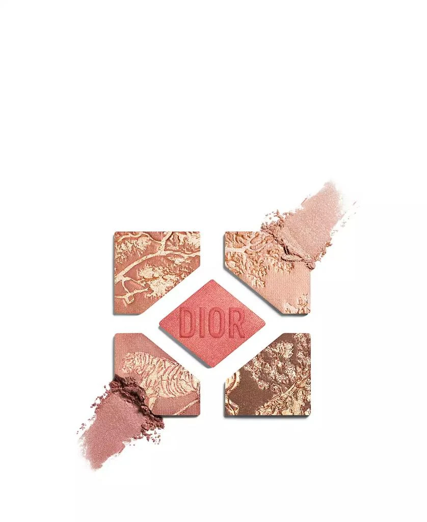 Dior Diorshow 5 Couleurs Eyeshadow Palette - Limited Edition 2