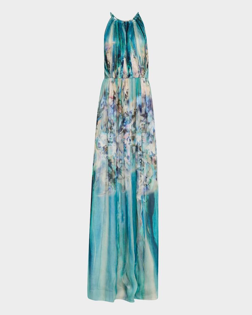 Alberta Ferretti Flower-Print Pleated Chiffon Halter Gown