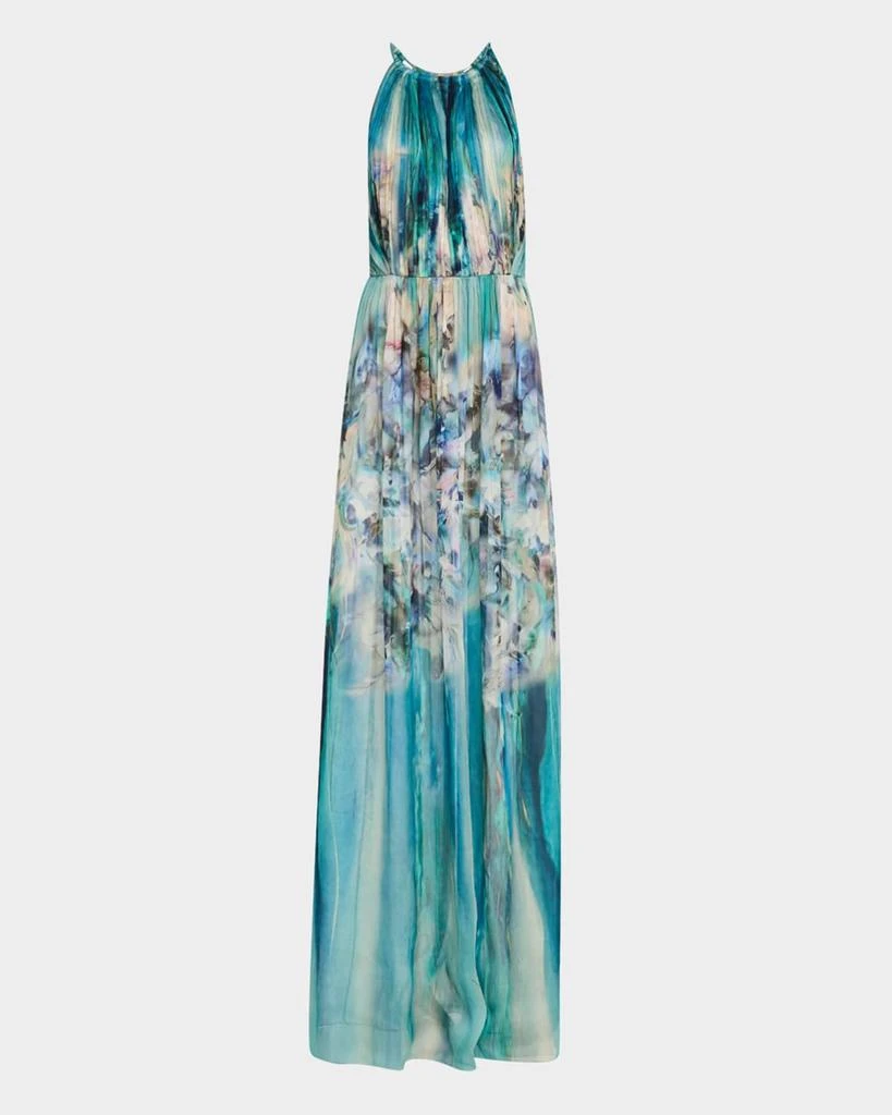 Alberta Ferretti Flower-Print Pleated Chiffon Halter Gown 1