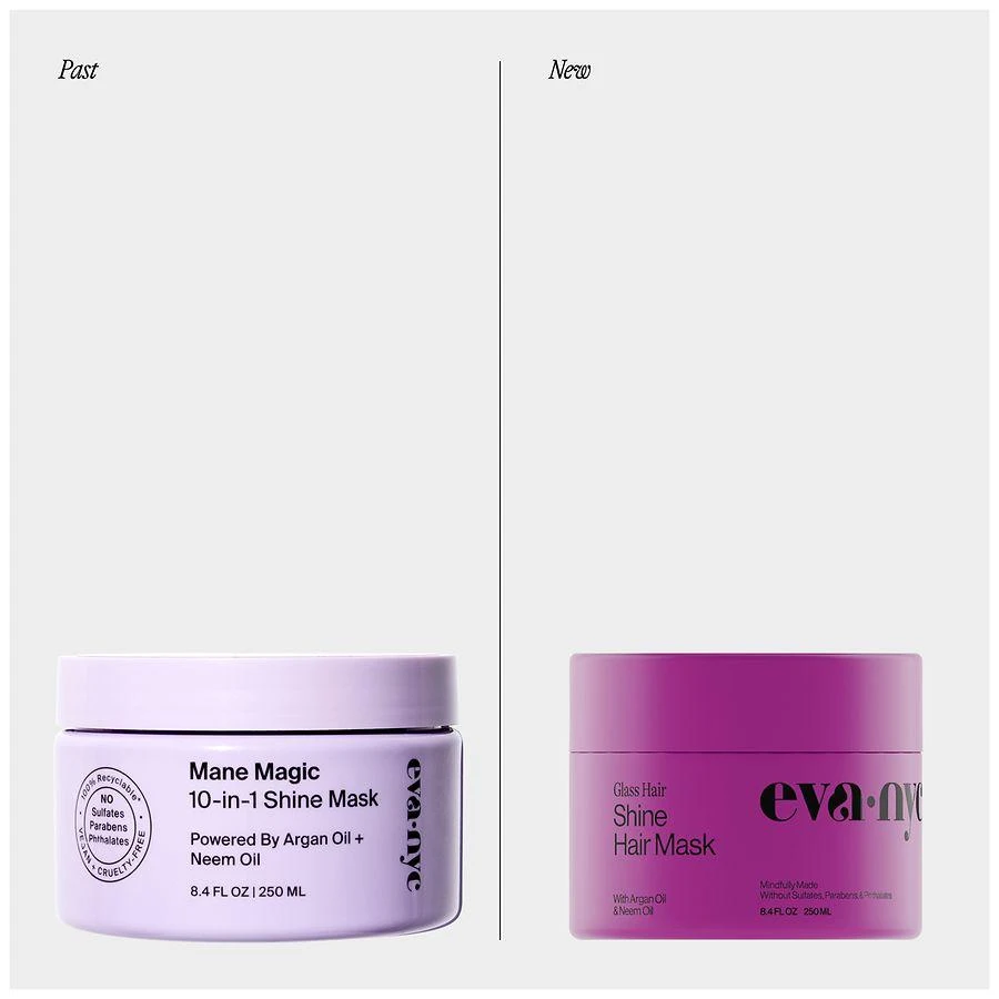 Eva NYC Glass Hair Shine Hair Mask 9