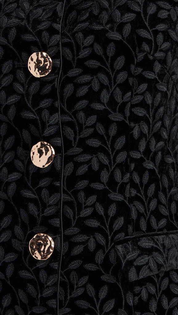 Saloni Mika Velvet Dress 5