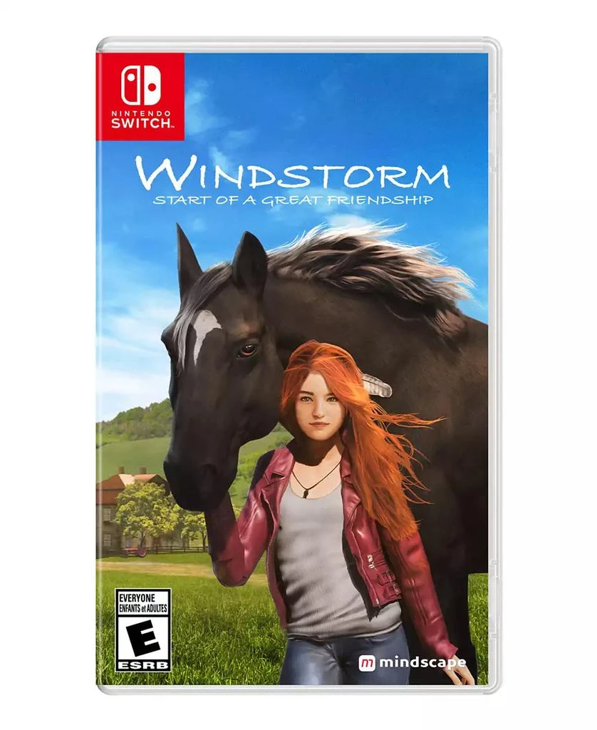 Maximum Games WINDSTORM START OF A GREAT FREINDSHIP - SWITCH 2