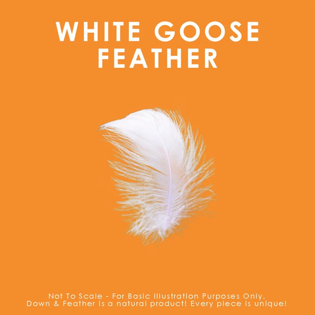 Canadian Down & Feather Company White Goose Feather Duvet All Season  weight 3