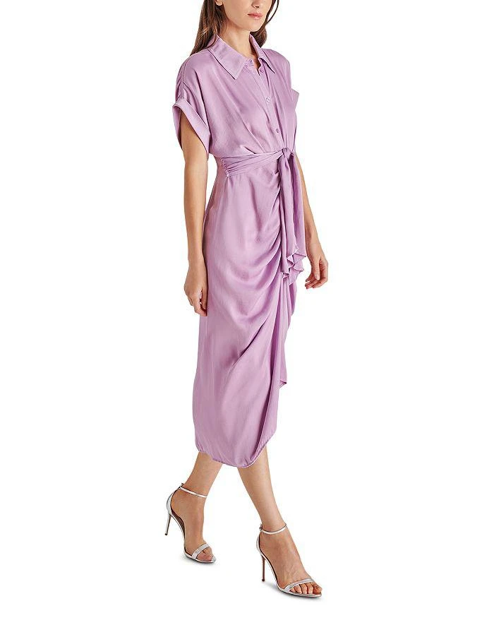 Steve Madden Tori Dress 3