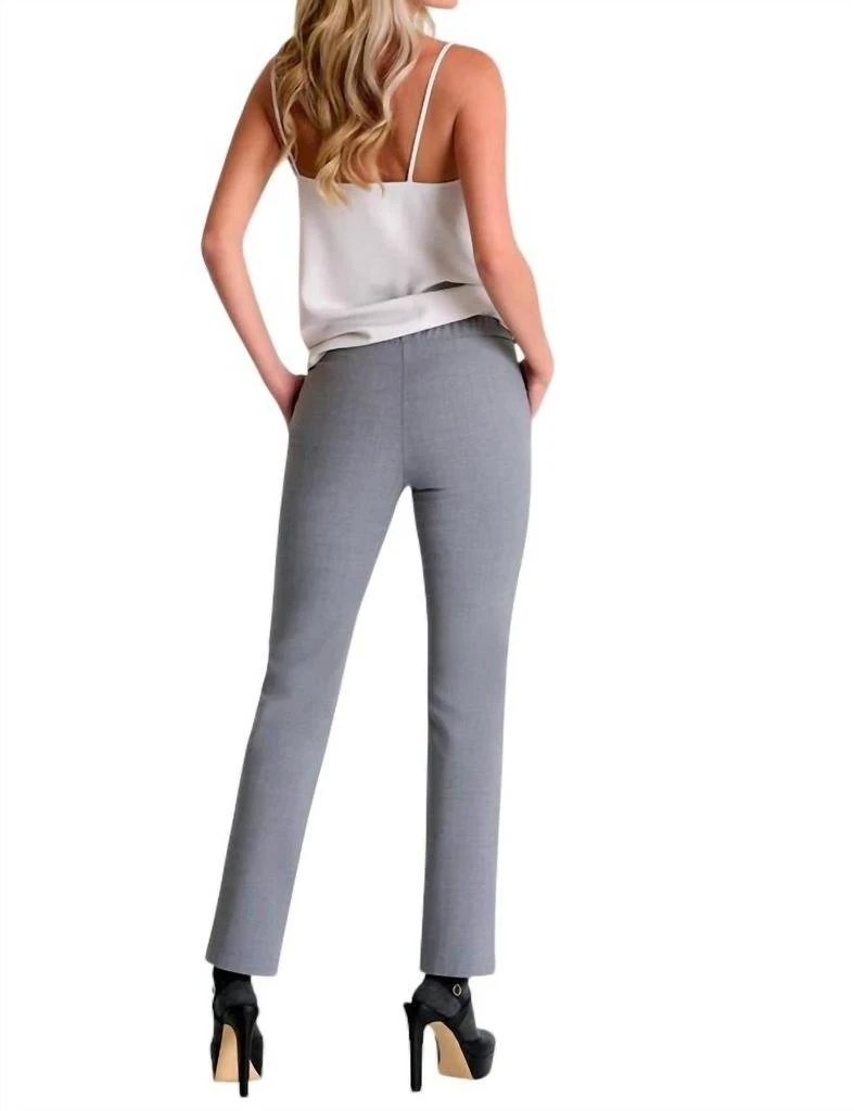 Shan Agathe Contemporary Pants In Gris 3