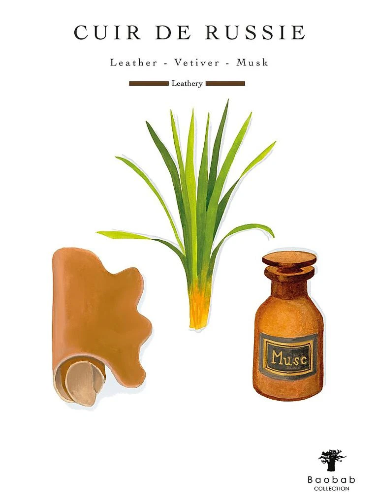 Baobab Collection Les Prestigieuses Max 24 Cuir De Russie Candle 6