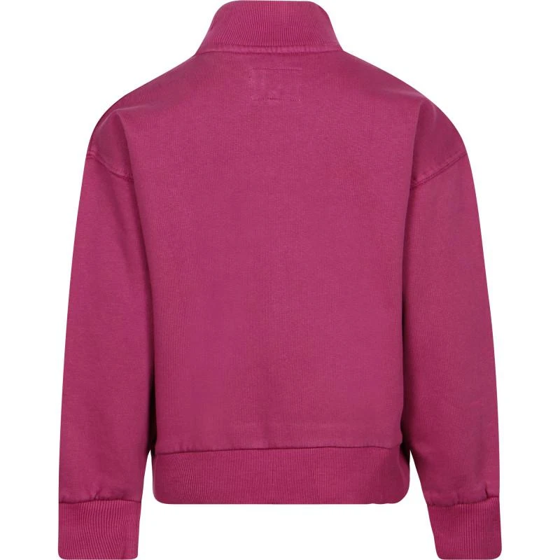 PEPE Logo sweatshirt in pink 2
