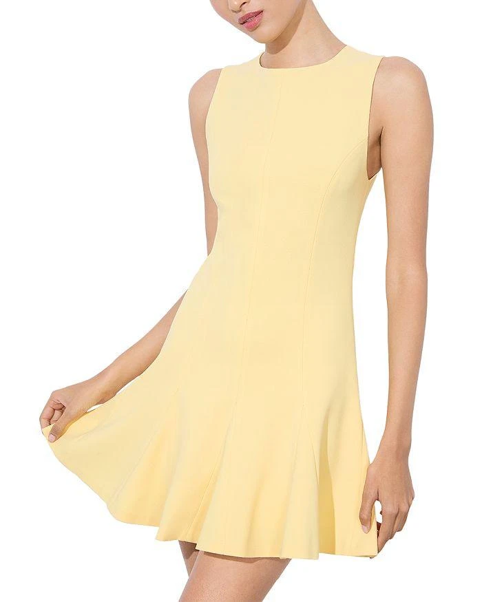 Alice + Olivia Isa Sleeveless Seamed Flare Mini Dress 1