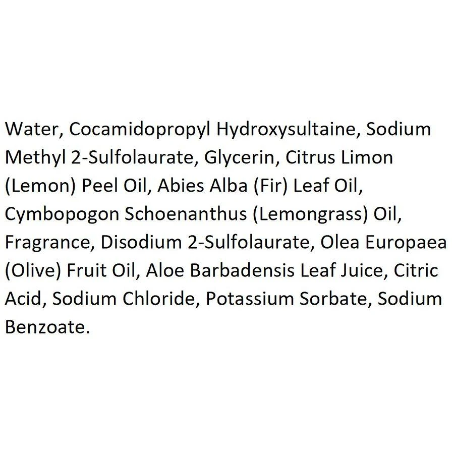 Mrs. Meyer's Clean Day Hand Soap 4