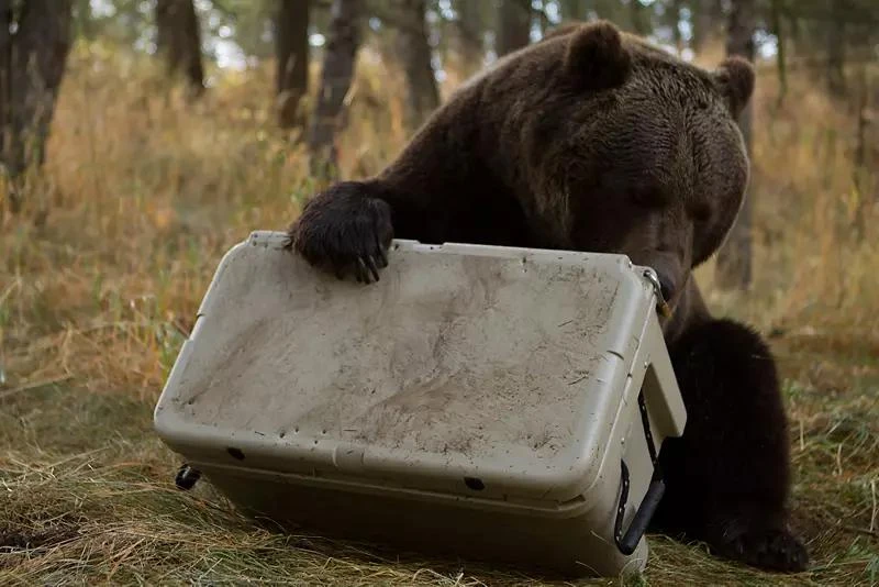 YETI YETI Tundra 105 Cooler 5