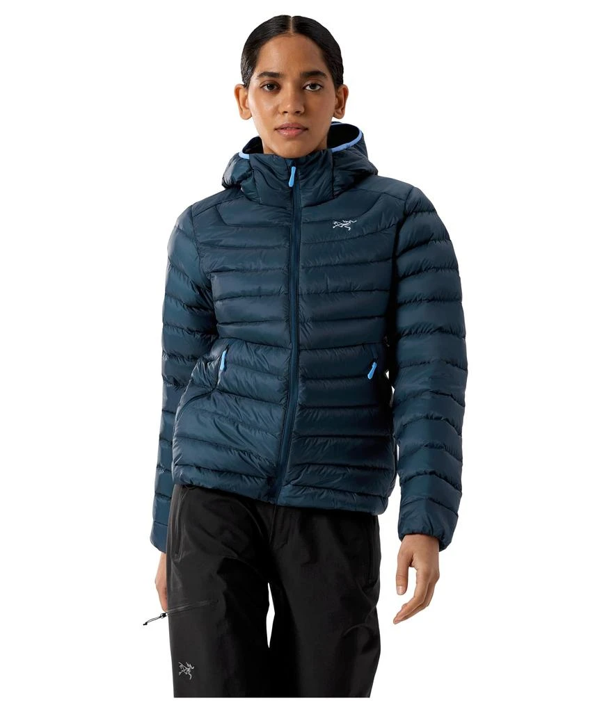 Arc
teryx Cerium Hoodie