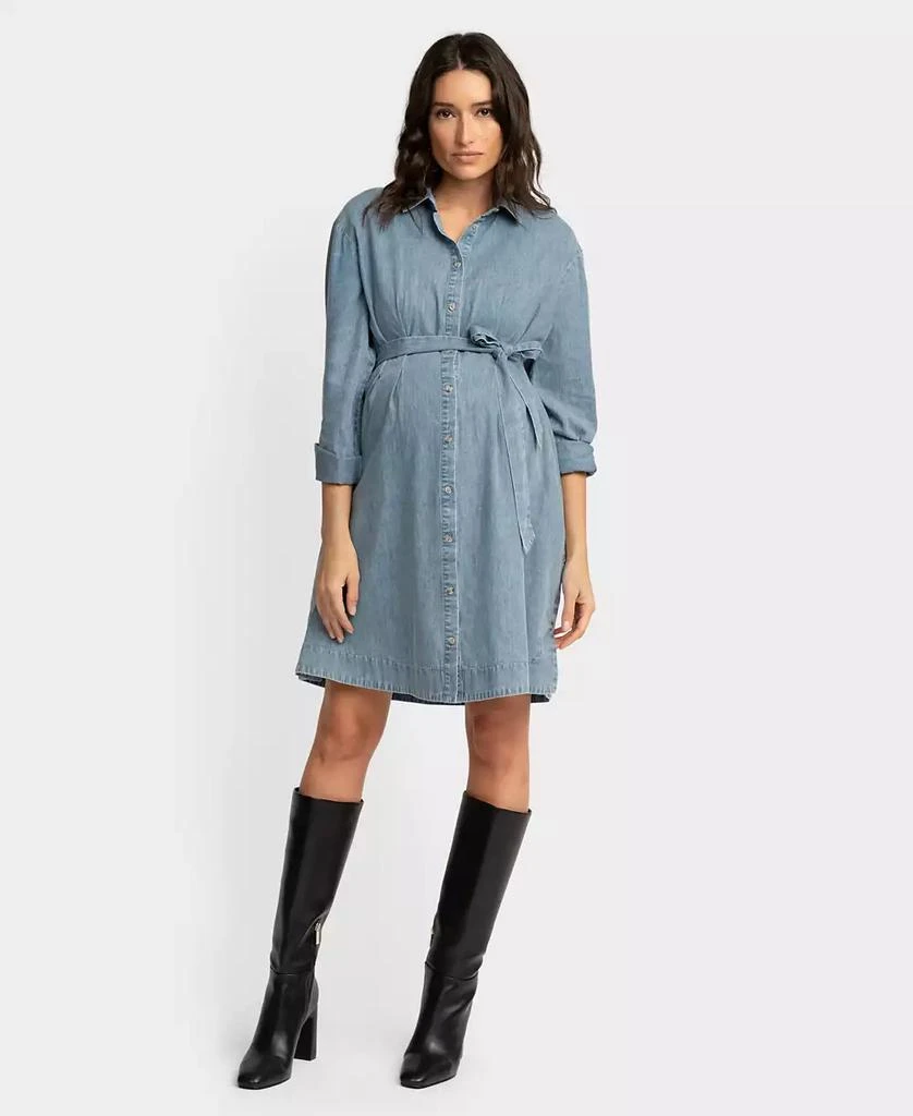 Seraphine Women's Maternity Chambray Dress 7