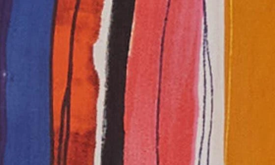 Raga Paint Stroke Shorts 3