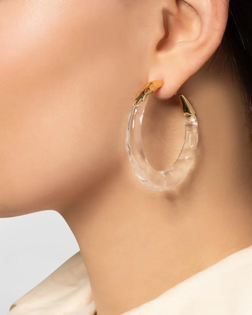 Alexis Bittar Molten Hoop Earrings 2