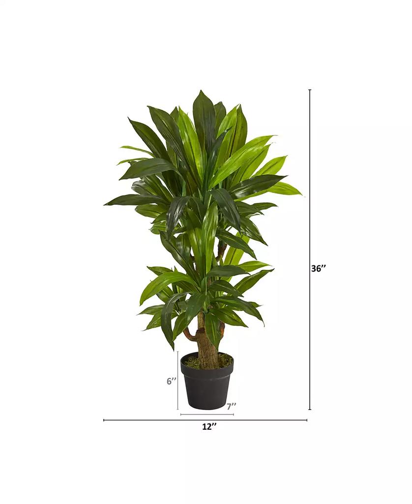 NEARLY NATURAL Corn Stalk Dracaena Artificial Plant, Real Touch