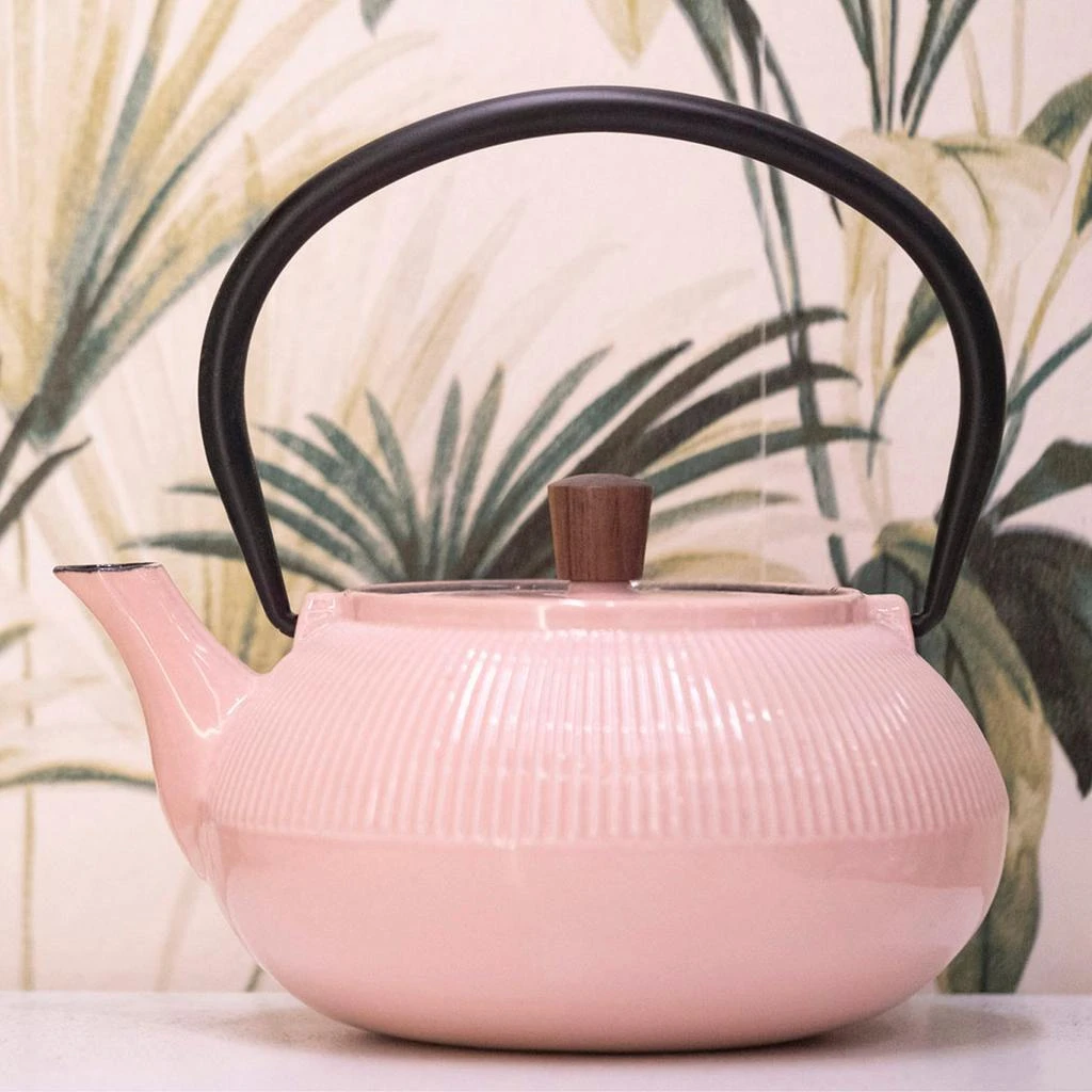 MNML Enameled Cast Iron Teapot - Line 6