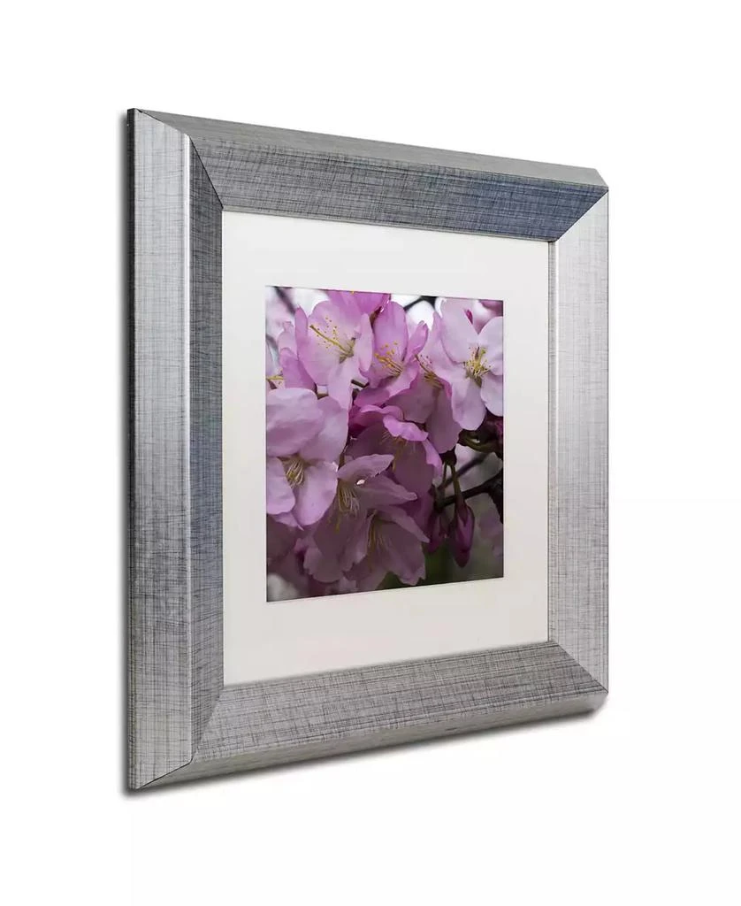 Trademark Global Kurt Shaffer 'Cherry Blossom Cluster' Matted Framed Art - 11" x 11" 3