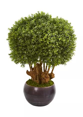 NEARLY NATURAL Natural Boxwood Topiary Tree In Decorative Bowl Indoor Outdoor