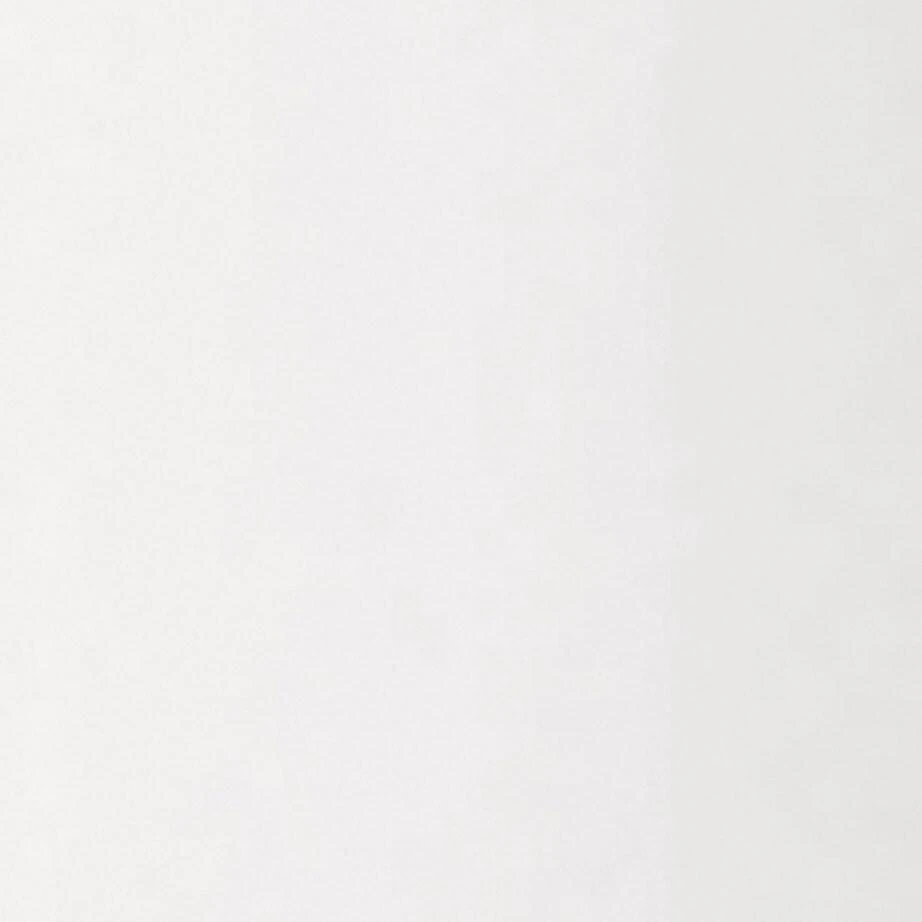 Ion-Sei Electric Toothbrush 2