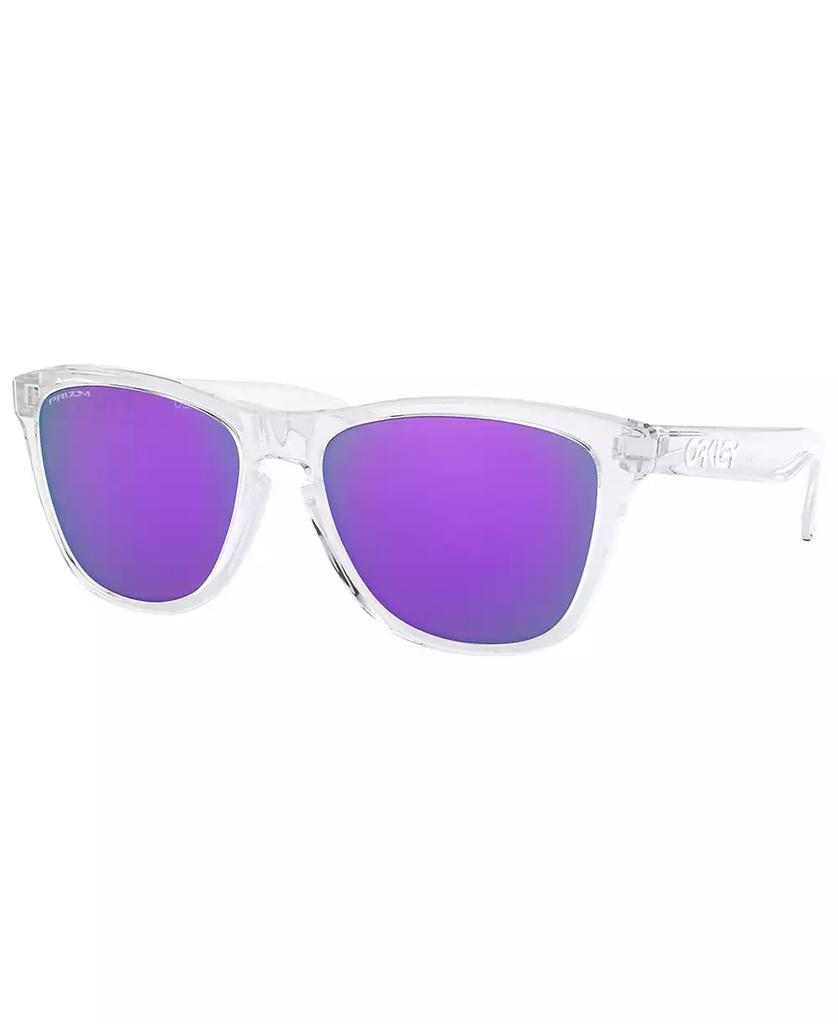 Oakley Men's Frogskin Sunglasses, OO9013