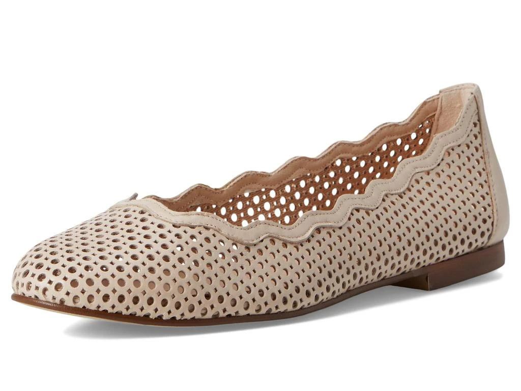 French Sole Nymph 7