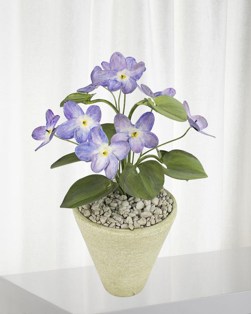 Tommy Mitchell Violet February Birth Flower in White Terracotta Pot