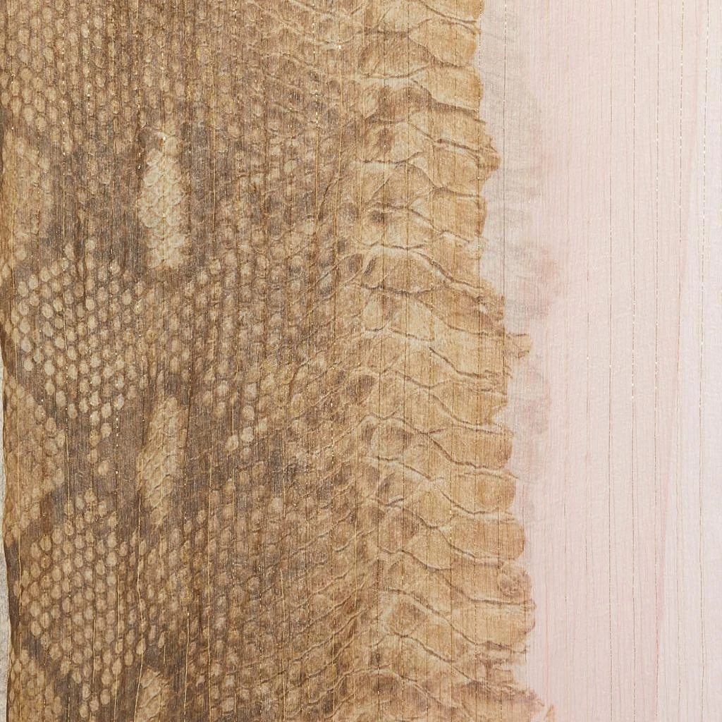 Roberto Cavalli Roberto Cavalli Brown/Pink Python Print Lurex Silk  Scarf 4