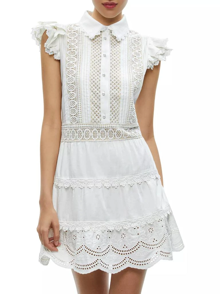 Alice + Olivia Meeko Cotton Mini Shirtdress 3