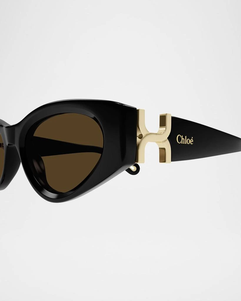 Chloé Cat Eye Acetate Sunglasses 2