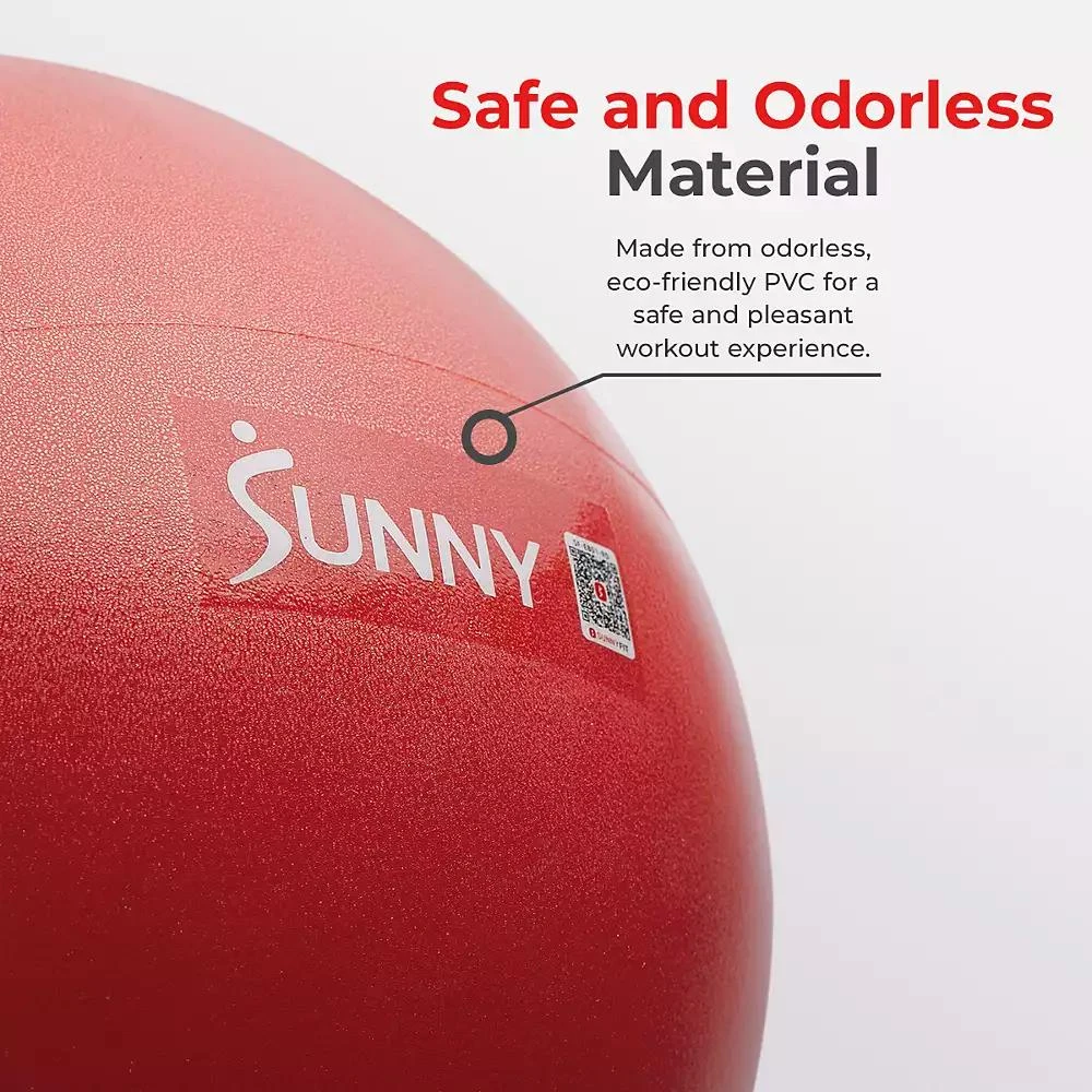 Sunny Health 
Fitness Premium 9" Mini Exercise Ball, Extra Thick Anti-Burst PVC, Non-Slip 
Odorless 4