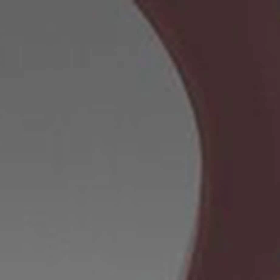 Cartier Metal Panthère de Cartier CT0471S Sunglasses 3