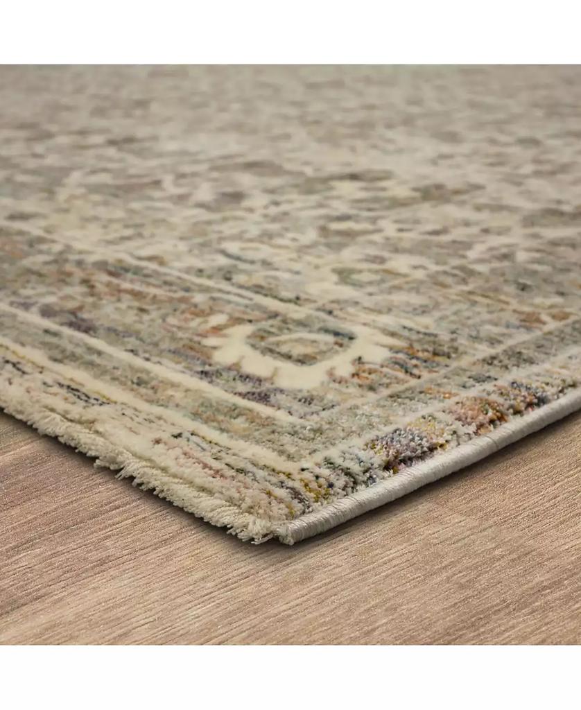 Karastan Divina Bliss 2'6" x 7'10" Runner Area Rug